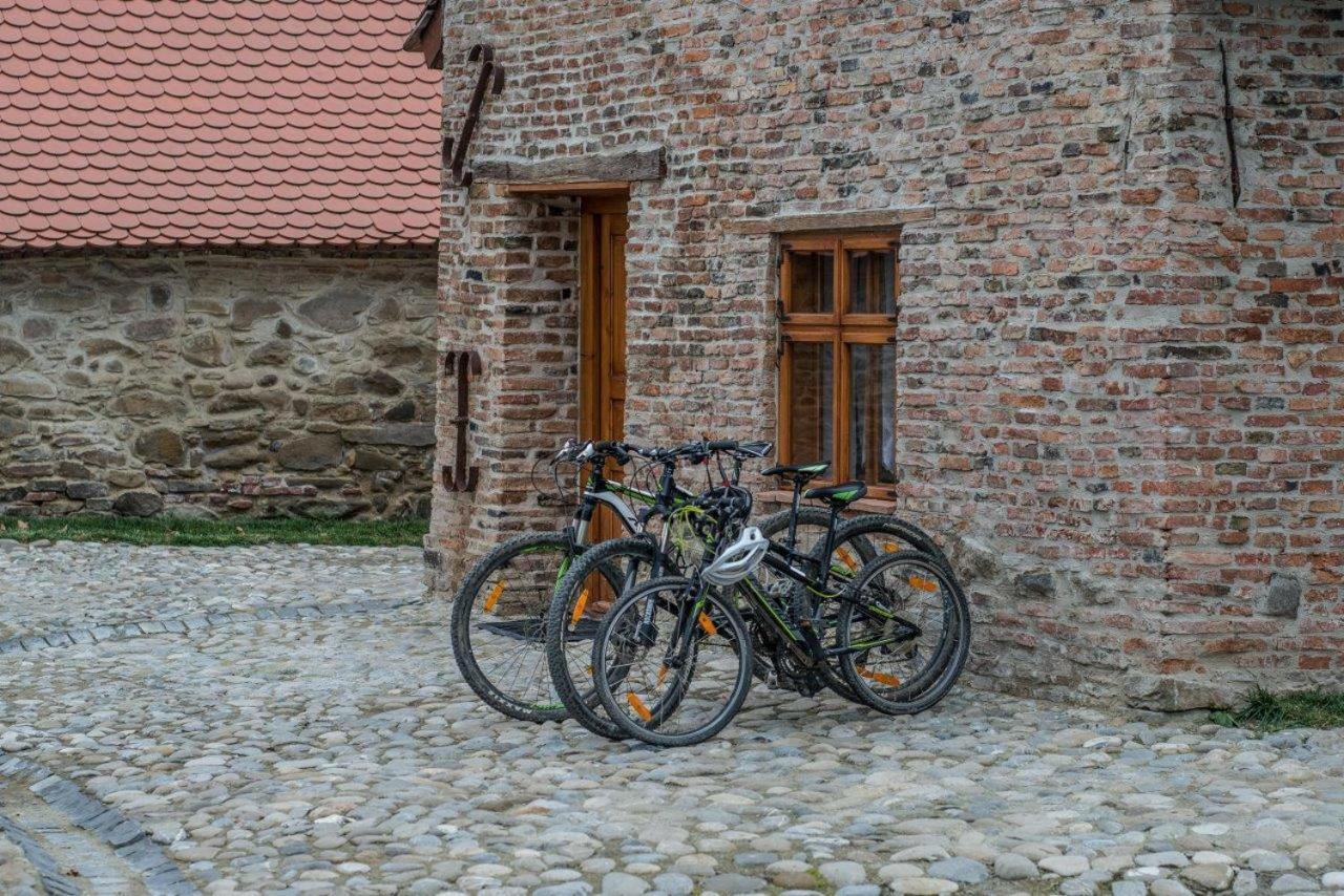 Готель Casa Kraus Crit Екстер'єр фото