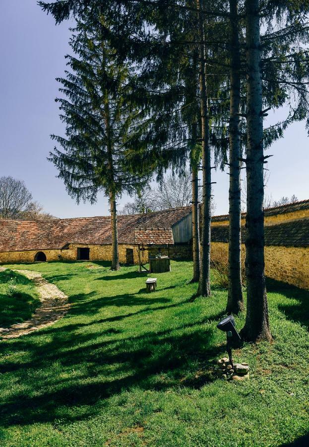 Готель Casa Kraus Crit Екстер'єр фото