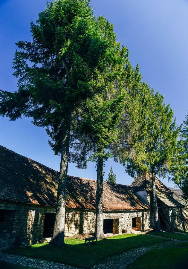 Готель Casa Kraus Crit Екстер'єр фото